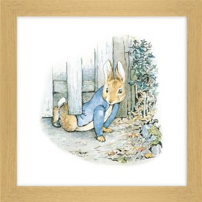 Artwork Adventures Of Peter Rabbit ll